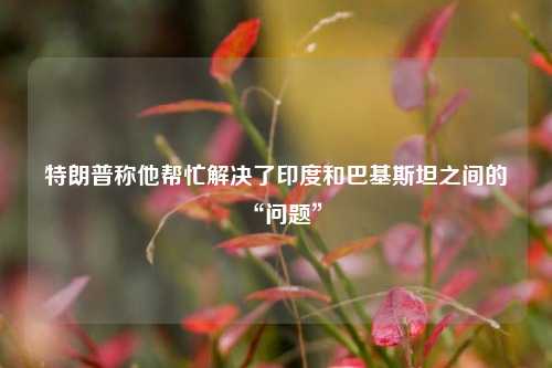 特朗普称他帮忙解决了印度和巴基斯坦之间的“问题”  第1张