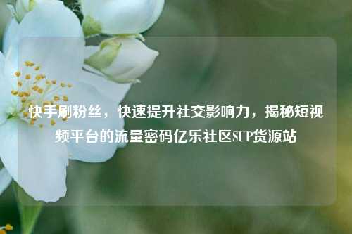 快手刷粉丝，快速提升社交影响力，揭秘短视频平台的流量密码亿乐社区SUP货源站  第1张
