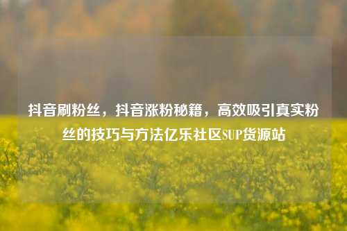 抖音刷粉丝，抖音涨粉秘籍，高效吸引真实粉丝的技巧与方法亿乐社区SUP货源站  第1张