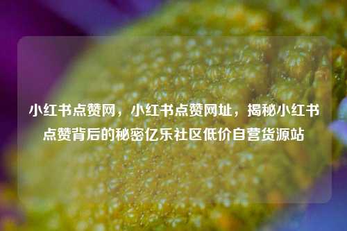 小红书点赞网，小红书点赞网址，揭秘小红书点赞背后的秘密亿乐社区低价自营货源站  第1张