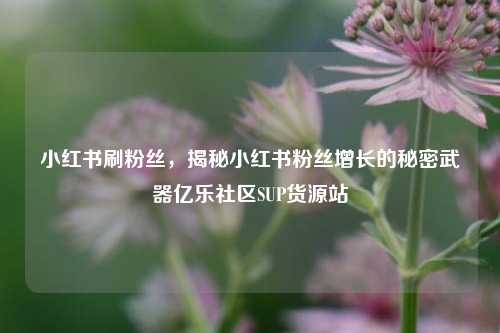 小红书刷粉丝，揭秘小红书粉丝增长的秘密武器亿乐社区SUP货源站  第1张