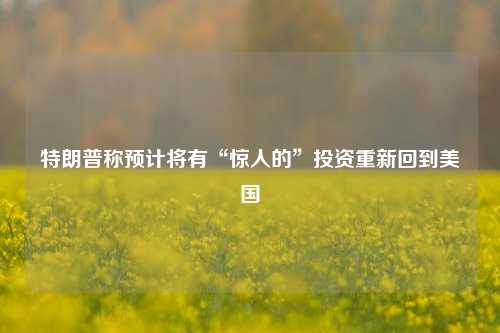 特朗普称预计将有“惊人的”投资重新回到美国  第1张