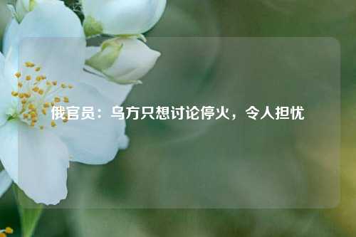俄官员：乌方只想讨论停火，令人担忧  第1张