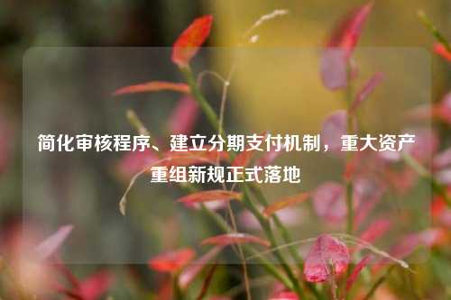 简化审核程序、建立分期支付机制，重大资产重组新规正式落地  第1张