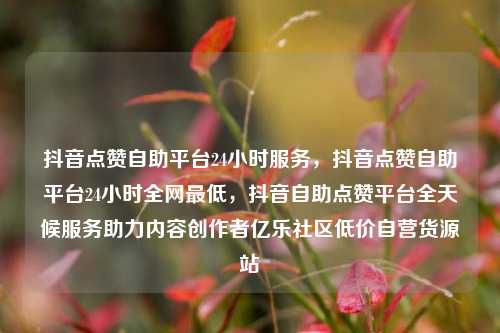 抖音点赞自助平台24小时服务，抖音点赞自助平台24小时全网最低，抖音自助点赞平台全天候服务助力内容创作者亿乐社区低价自营货源站  第1张