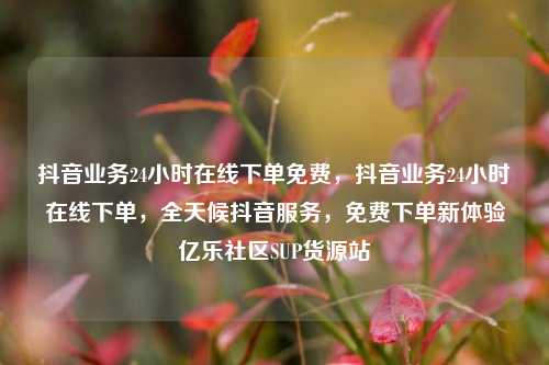 抖音业务24小时在线下单免费，抖音业务24小时在线下单，全天候抖音服务，免费下单新体验亿乐社区SUP货源站  第1张