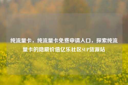纯流量卡，纯流量卡免费申请入口，探索纯流量卡的隐藏价值亿乐社区SUP货源站  第1张