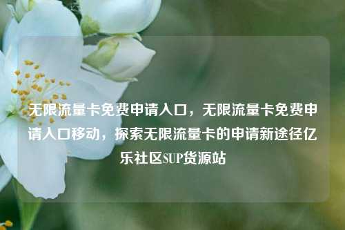 无限流量卡免费申请入口，无限流量卡免费申请入口移动，探索无限流量卡的申请新途径亿乐社区SUP货源站  第1张