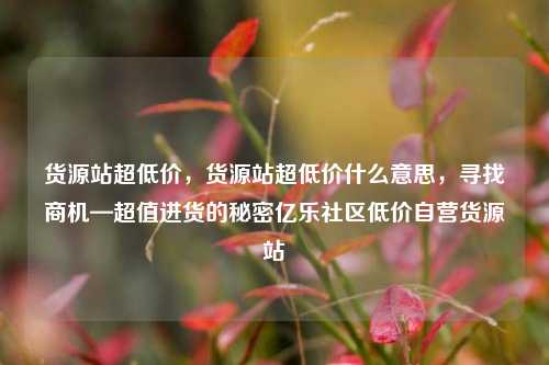 货源站超低价，货源站超低价什么意思，寻找商机—超值进货的秘密亿乐社区低价自营货源站  第1张