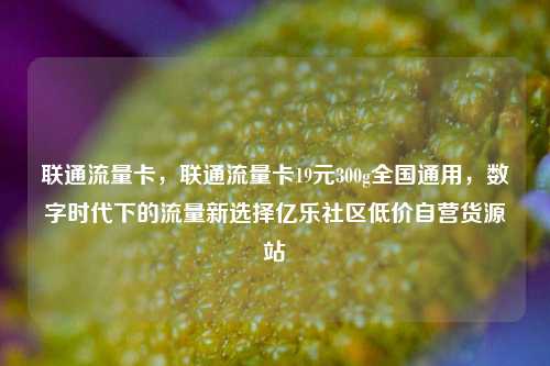 联通流量卡，联通流量卡19元300g全国通用，数字时代下的流量新选择亿乐社区低价自营货源站  第1张