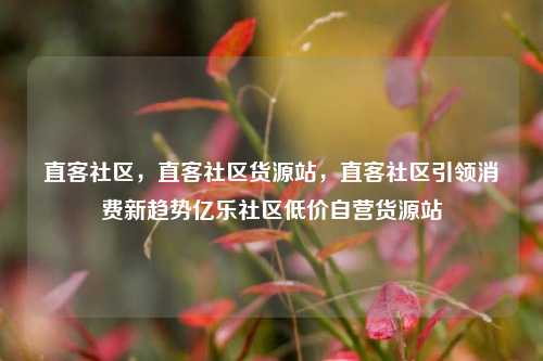 直客社区，直客社区货源站	，直客社区引领消费新趋势亿乐社区低价自营货源站  第1张