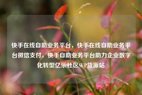 快手在线自助业务平台，快手在线自助业务平台微信支付，快手自助业务平台助力企业数字化转型亿乐社区SUP货源站  第1张