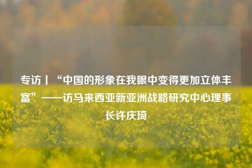 专访丨“中国的形象在我眼中变得更加立体丰富”——访马来西亚新亚洲战略研究中心理事长许庆琦  第1张