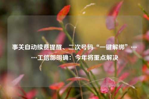 事关自动续费提醒、二次号码“一键解绑”……工信部明确：今年将重点解决  第1张