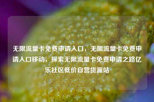 无限流量卡免费申请入口，无限流量卡免费申请入口移动	，探索无限流量卡免费申请之路亿乐社区低价自营货源站  第1张