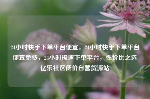24小时快手下单平台便宜，24小时快手下单平台便宜免费，24小时极速下单平台	，性价比之选亿乐社区低价自营货源站  第1张