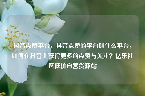 抖音点赞平台，抖音点赞的平台叫什么平台	，如何在抖音上获得更多的点赞与关注？亿乐社区低价自营货源站  第1张