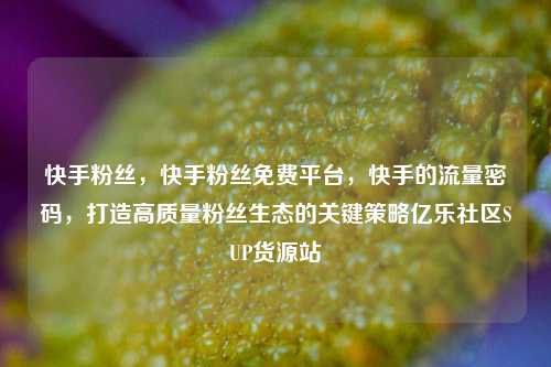 快手粉丝，快手粉丝免费平台	，快手的流量密码，打造高质量粉丝生态的关键策略亿乐社区SUP货源站  第1张