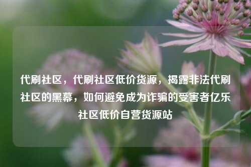 代刷社区	，代刷社区低价货源，揭露非法代刷社区的黑幕，如何避免成为诈骗的受害者亿乐社区低价自营货源站  第1张
