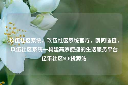 玖伍社区系统，玖伍社区系统官方	，瞬间链接，玖伍社区系统—构建高效便捷的生活服务平台亿乐社区SUP货源站  第1张