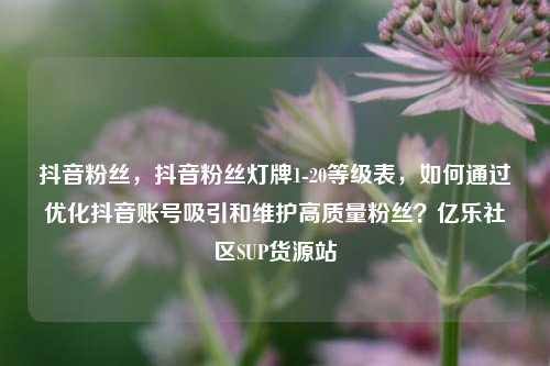 抖音粉丝，抖音粉丝灯牌1-20等级表，如何通过优化抖音账号吸引和维护高质量粉丝？亿乐社区SUP货源站  第1张