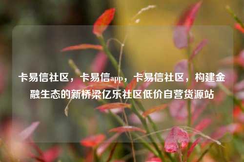 卡易信社区，卡易信app	，卡易信社区，构建金融生态的新桥梁亿乐社区低价自营货源站  第1张