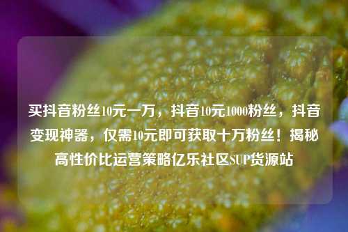 买抖音粉丝10元一万	，抖音10元1000粉丝，抖音变现神器，仅需10元即可获取十万粉丝！揭秘高性价比运营策略亿乐社区SUP货源站  第1张