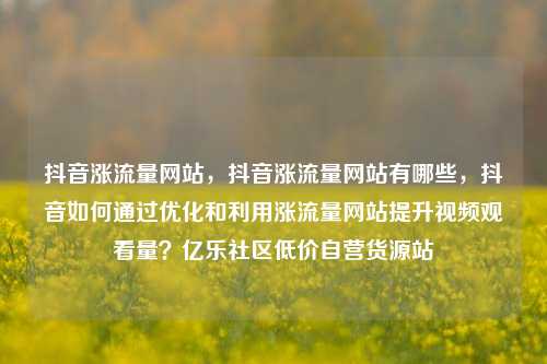 抖音涨流量网站	，抖音涨流量网站有哪些，抖音如何通过优化和利用涨流量网站提升视频观看量？亿乐社区低价自营货源站  第1张