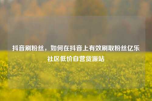 抖音刷粉丝，如何在抖音上有效刷取粉丝亿乐社区低价自营货源站  第1张