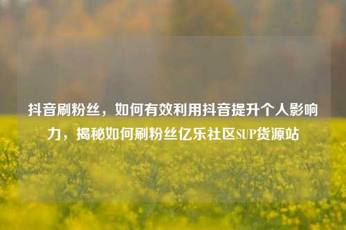 抖音刷粉丝	，如何有效利用抖音提升个人影响力，揭秘如何刷粉丝亿乐社区SUP货源站  第1张