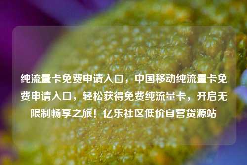 纯流量卡免费申请入口	，中国移动纯流量卡免费申请入口，轻松获得免费纯流量卡，开启无限制畅享之旅！亿乐社区低价自营货源站  第1张
