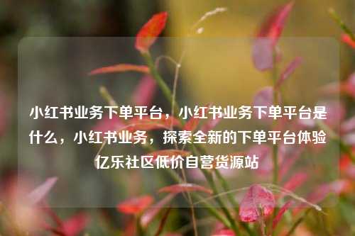 小红书业务下单平台，小红书业务下单平台是什么	，小红书业务，探索全新的下单平台体验亿乐社区低价自营货源站  第1张