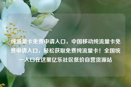 纯流量卡免费申请入口，中国移动纯流量卡免费申请入口，轻松获取免费纯流量卡！全国统一入口在这里亿乐社区低价自营货源站  第1张