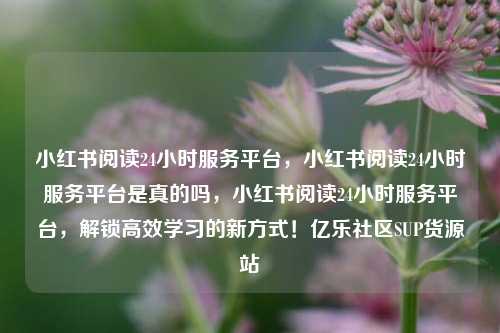 小红书阅读24小时服务平台	，小红书阅读24小时服务平台是真的吗，小红书阅读24小时服务平台，解锁高效学习的新方式！亿乐社区SUP货源站  第1张