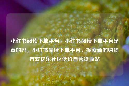 小红书阅读下单平台	，小红书阅读下单平台是真的吗，小红书阅读下单平台，探索新的购物方式亿乐社区低价自营货源站  第1张