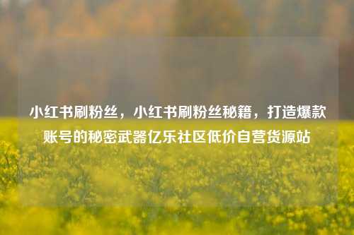 小红书刷粉丝，小红书刷粉丝秘籍	，打造爆款账号的秘密武器亿乐社区低价自营货源站  第1张