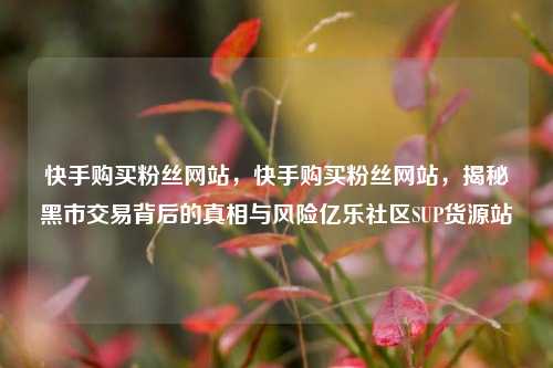 快手购买粉丝网站，快手购买粉丝网站	，揭秘黑市交易背后的真相与风险亿乐社区SUP货源站  第1张