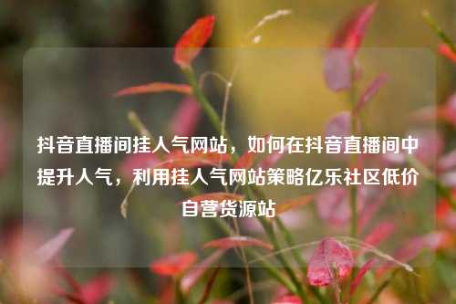 抖音直播间挂人气网站，如何在抖音直播间中提升人气，利用挂人气网站策略亿乐社区低价自营货源站  第1张