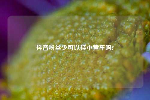 抖音粉丝少可以挂小黄车吗?  第1张