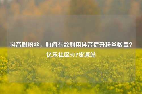 抖音刷粉丝，如何有效利用抖音提升粉丝数量？亿乐社区SUP货源站  第1张