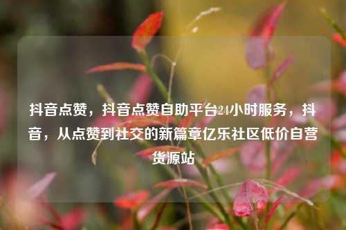 抖音点赞，抖音点赞自助平台24小时服务，抖音	，从点赞到社交的新篇章亿乐社区低价自营货源站  第1张