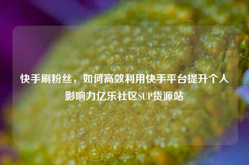 快手刷粉丝	，如何高效利用快手平台提升个人影响力亿乐社区SUP货源站  第1张