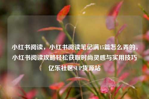 小红书阅读	，小红书阅读笔记满15篇怎么弄的，小红书阅读攻略轻松获取时尚灵感与实用技巧亿乐社区SUP货源站  第1张