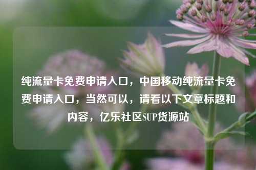纯流量卡免费申请入口，中国移动纯流量卡免费申请入口	，当然可以，请看以下文章标题和内容，亿乐社区SUP货源站  第1张