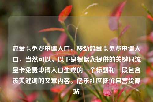 流量卡免费申请入口，移动流量卡免费申请入口	，当然可以。以下是根据您提供的关键词流量卡免费申请入口生成的一个标题和一段包含该关键词的文章内容	。亿乐社区低价自营货源站  第1张
