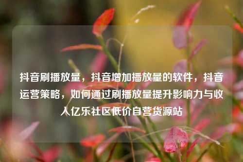 抖音刷播放量，抖音增加播放量的软件	，抖音运营策略，如何通过刷播放量提升影响力与收入亿乐社区低价自营货源站  第1张