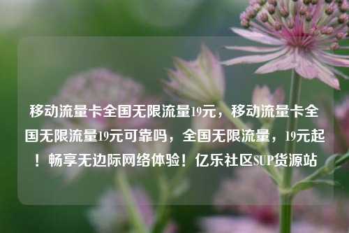 移动流量卡全国无限流量19元	，移动流量卡全国无限流量19元可靠吗，全国无限流量，19元起！畅享无边际网络体验！亿乐社区SUP货源站  第1张