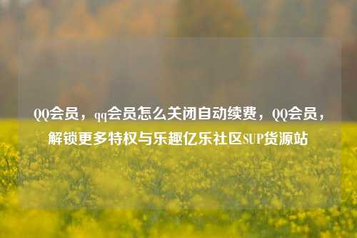 QQ会员，qq会员怎么关闭自动续费	，QQ会员，解锁更多特权与乐趣亿乐社区SUP货源站  第1张