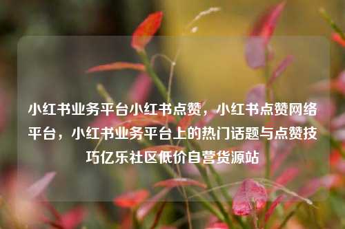 小红书业务平台小红书点赞，小红书点赞网络平台，小红书业务平台上的热门话题与点赞技巧亿乐社区低价自营货源站  第1张