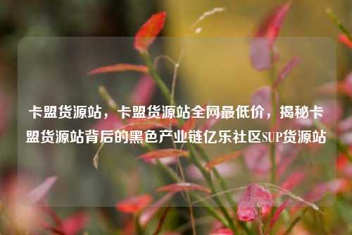 卡盟货源站，卡盟货源站全网最低价	，揭秘卡盟货源站背后的黑色产业链亿乐社区SUP货源站  第1张